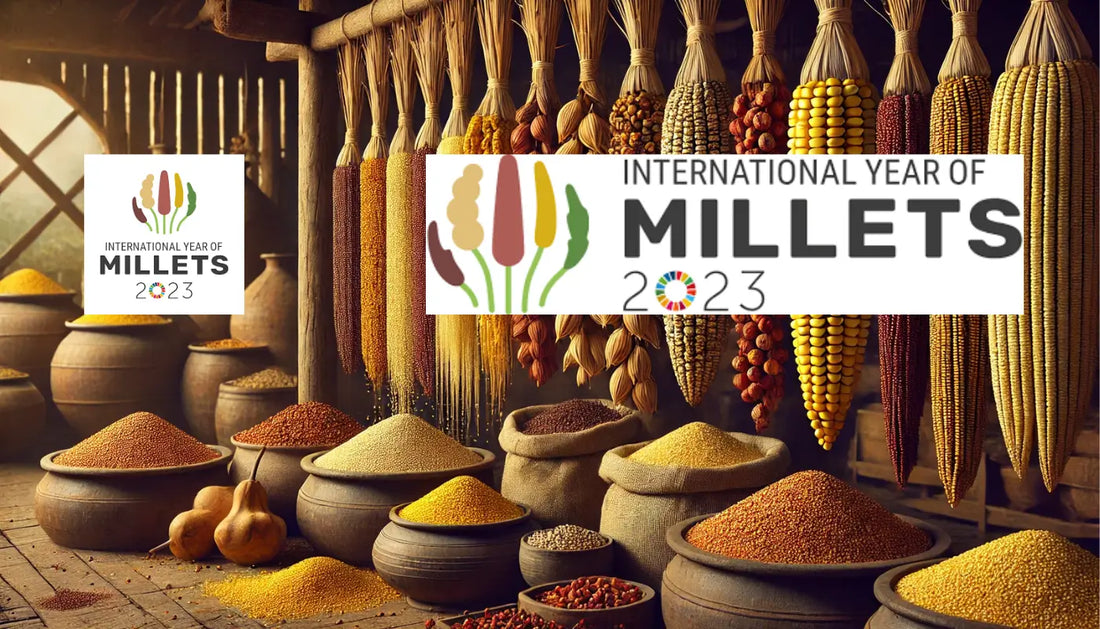 International Year of Millets 2023: A focus on nutritious grains