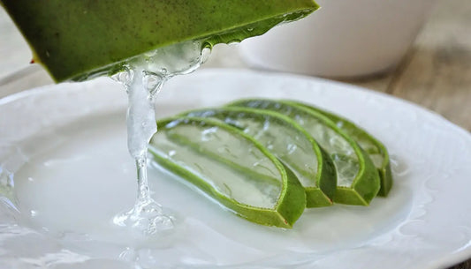 The power of coconut oil and aloe vera for nourished, shiny hair