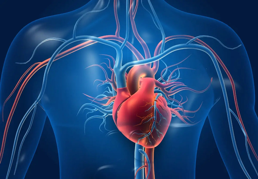 Millets and Cardiac Arrhythmias