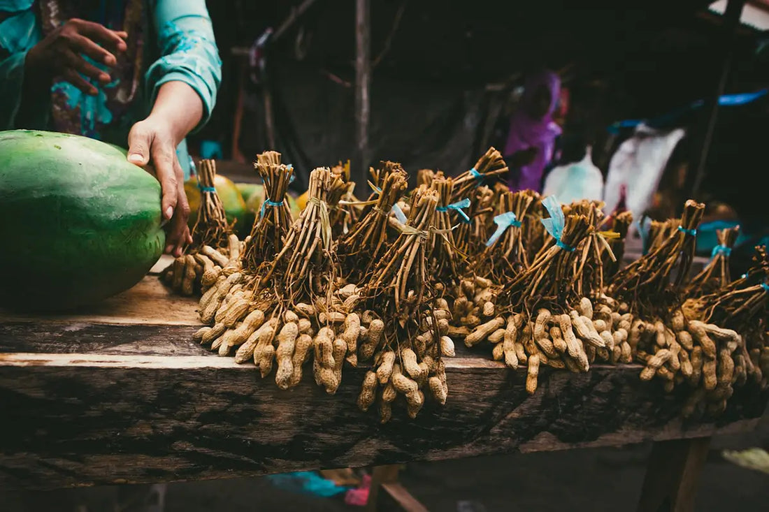 Unique plant-based nutrients in cold-pressed Groundnut Oil